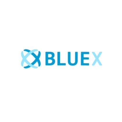 BLUEX logo