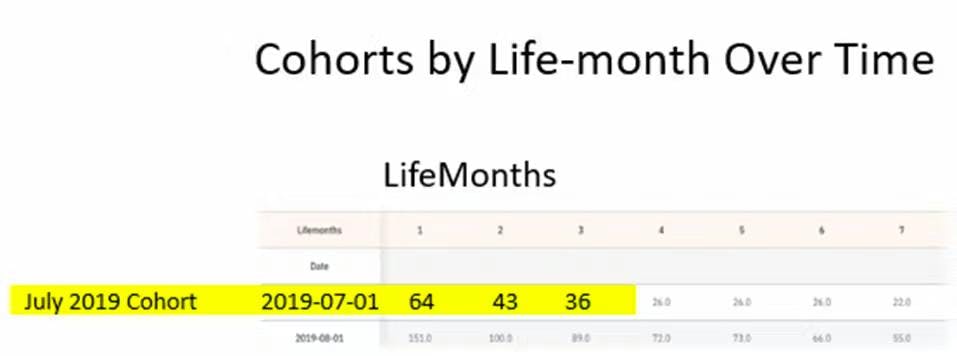 Cohorts by Life-month Over Time.