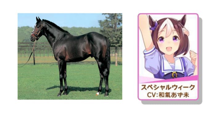 A photo of the real Special Week (L) and the character in Uma Musume (R)